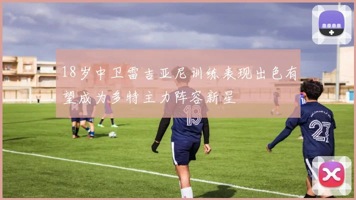 18岁中卫雷吉亚尼训练表现出色有望成为多特主力阵容新星