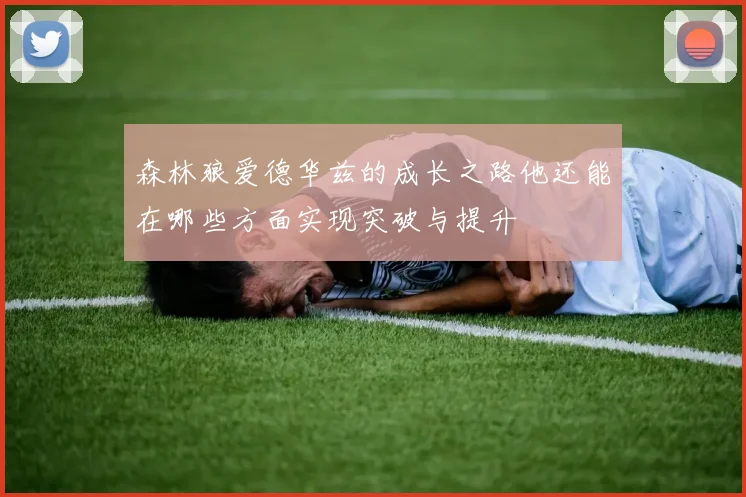 森林狼爱德华兹的成长之路他还能在哪些方面实现突破与提升