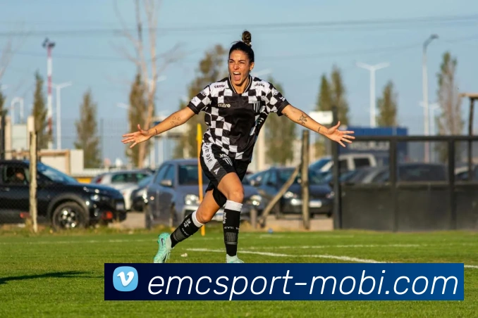 易倍体育APP 封面图