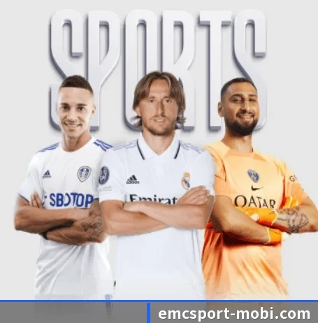 易倍体育 APP（EMCSPORTS）